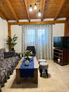 a living room with a couch and a tv at Alleyhouse 83 in Kremasti