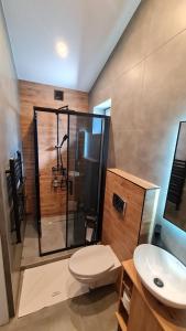 Un baño con ducha, inodoro y lavabo. en Dream Apartments 3B KLIMATYZACJA, en Oświęcim
