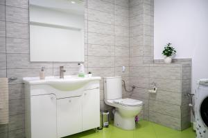 La salle de bains est pourvue d'un lavabo blanc et de toilettes. dans l'établissement Skyline Villa, à Azuga