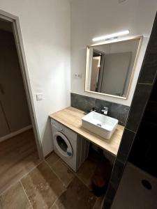 y baño con lavabo y espejo. en Studio Occitanie-Hopitaux-Facultés, en Montpellier