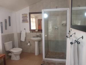 une salle de bain avec une douche, des toilettes et un lavabo dans l'établissement Sweet Dreams Guest House Schweizer Reneke, à Schweizer-Reineke