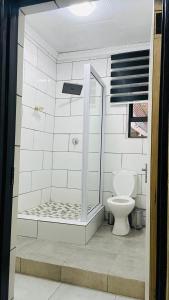 a bathroom with a shower and a toilet at Naldorado Executive Villa in Nelspruit
