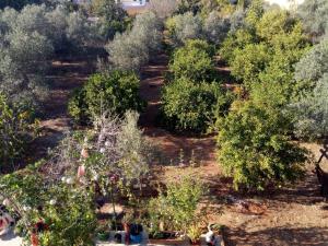 Φωτογραφία από το άλμπουμ του Gizli bir Cennet (A Hidden Paradise) στην Αττάλεια