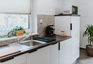 Kuchnia lub aneks kuchenny w obiekcie APARTAMENTY LAS Zator