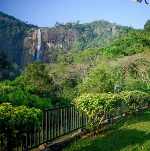 einem Wasserfall inmitten eines Waldes in der Unterkunft Diyaluma Falls Inn in Koslanda