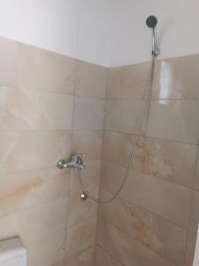 a shower with a shower head in a bathroom at Tusha Vacation Home 