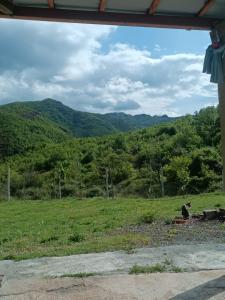 a bird sitting in a field with mountains in the background at Tusha Vacation Home 