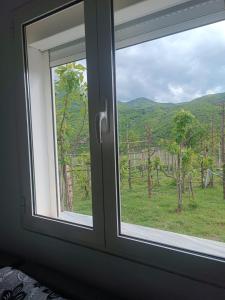 una finestra con vista su un campo verde di Tusha Vacation Home 
