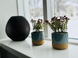 Fotografie z fotogalerie ubytování Scandinavian retro v destinaci Akureyri