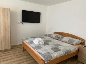 Schlafzimmer mit einem Bett und einem TV an der Wand in der Unterkunft Penzion Trödler in Brod nad Dyjí