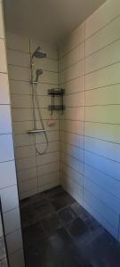 een badkamer met een douche in de kamer bij La Bohème in Nijeberkoop
