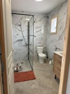 米拉馬斯的住宿－maison_du_sud_13140，带淋浴、卫生间和盥洗盆的浴室
