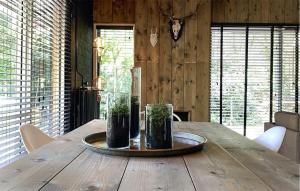 a wooden table with plants in vases on it at Stunning Home In Rheezerveen With Sauna in Rheezerveen