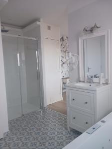 y baño con ducha, lavabo y espejo. en Quetzal, en Villars-les-Dombes