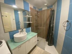 a bathroom with a sink and a shower at Gite Thym spa au coeur d'une oliveraie des Corbières in Saint-Jean-de-Barrou