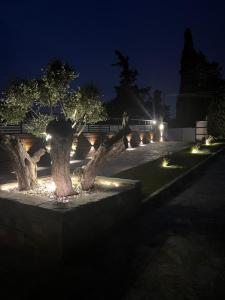 Vonkajšia záhrada v ubytovaní Olivujoj Villajoj - Deluxe Villa with Detached Pool House