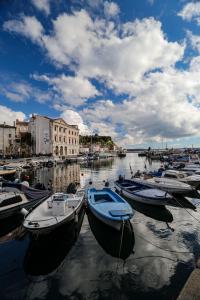 Un grupo de barcos están atracados en un puerto en MHOUSE, en Piran