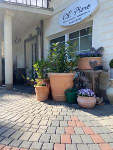 um grupo de vasos de plantas sentados fora de uma loja em Domki i Apartamenty El-Piero em Pobierowo