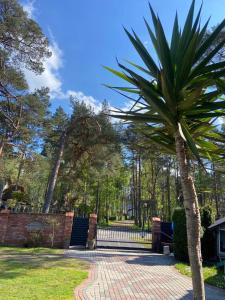 una palmera frente a una puerta en Domki i Apartamenty El-Piero en Pobierowo