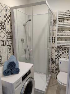 ein Bad mit einer Waschmaschine und einer Dusche in der Unterkunft STUDIO BLUE BIRD PIĘKNA 2 wejście na kod CENTRUM in Pabianice