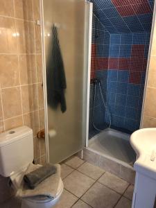 La salle de bains est pourvue d'une douche avec une tête de cheval sur la porte. dans l'établissement Appartment Reynes rando, nature & relaxation !, à Reynès