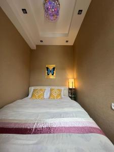 a bedroom with a bed and a chandelier at Cozy apartment in the city center Mtatsminda in Tbilisi City