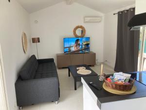 ein Wohnzimmer mit einem Sofa und einem TV in der Unterkunft Guest house in Le Rouret