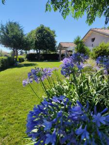 Zahrada ubytování B&B Flavio e Catia