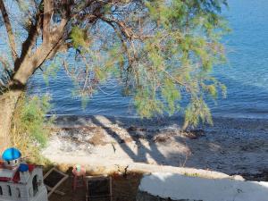 a view of a beach with a tree and the ocean at Maeiz Skopelos in Skopelos Town