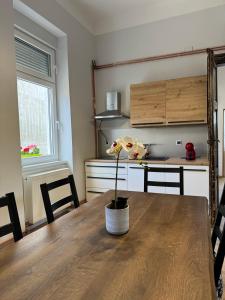 Köök või kööginurk majutusasutuses DANA GUEST HOUSE