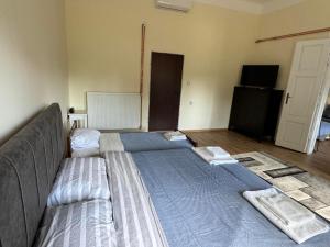 Voodi või voodid majutusasutuse DANA GUEST HOUSE toas