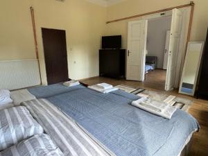 Voodi või voodid majutusasutuse DANA GUEST HOUSE toas