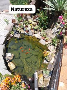 Un jardín fuera de Pousada do Dedé