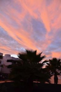 un tramonto con palme di fronte a un edificio di CASA UMA a Villaverde