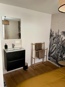 a bathroom with a sink and a mirror at Le XVII - Au cœur de Colmar in Colmar