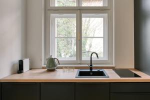 皮耶什佳尼的住宿－AnnaVila，带水槽的厨房台面和窗户