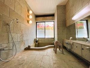 a large bathroom with a shower and a tub at ドックランが有る素泊まりのお宿ワンダフル in Ito +13 photos