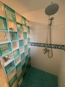 a bathroom with a shower with a tile wall at chambre Saint Malo in Saint-Méloir-des-Ondes