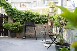Zahrada ubytování Alexandras guesthouse