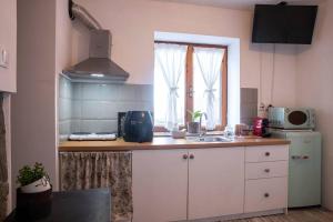 Kuchyň nebo kuchyňský kout v ubytování Alexandras guesthouse