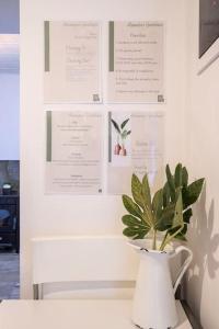 Fotografie z fotogalerie ubytování Alexandras guesthouse v destinaci Neos Panteleimonas
