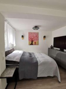 1 dormitorio con 1 cama grande y TV en Apartment bei der Palme mit Sauna Möglichkeit en Düsseldorf