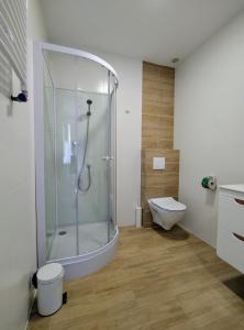 a bathroom with a shower and a toilet at Family Homes - Sand Apartments in Władysławowo