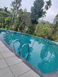 una piscina con dos curvas metálicas en el agua en Chills homestay, en Kalpetta