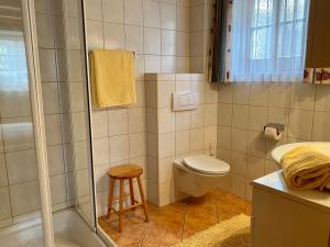 ein Bad mit einer Dusche, einem WC und einem Stuhl in der Unterkunft Stoanahof in Virgen