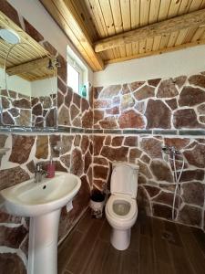 a stone bathroom with a toilet and a sink at Shtepi Druri Arber in Voskopojë