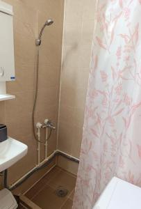 een badkamer met een douche en een douchegordijn bij Apartman Lara in Kuršumlija