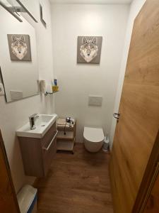 サン・レオナルド・イン・パッシーリアにあるSchlossbergのバスルーム(洗面台、トイレ、鏡付)