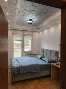 una camera con letto e soffitto di Apartman Branković Pirot-Zapadni Kej 58 a Pirot