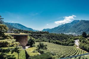 a house in a vineyard with mountains in the background at Hotel Villa Madruzzo in Trento